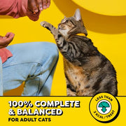 Temptations Classic Crunchy and Soft Cat Treats, Tasty Chicken, 30 oz | Under 2 calories per treat, crunchy outside & soft inside, resealable tub, 100% complete & balanced, snack, meal or topper