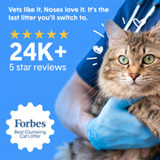 Boxie Probiotic Clumping Cat Litter 40+ Day Odor Control Dust Free 16 lb | Hard Flat Top clumps stay on top for fast scooping and less scrubbing; no added fragrance, fillers, or harsh chemicals