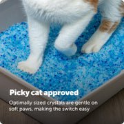 PetSafe ScoopFree Premium Crystal Litter, Fresh Scent, 4.3 Lb Bag, 2 Pack | Ultra-Absorbent Crystal Cat Litter, 5x Faster Odor Control, 99% Dust-Free, Low Tracking, Refills Any Cat Box or Tray