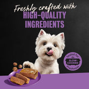 Cesar Classic Loaf in Sauce Wet Dog Food, Meaty Selects, 3.5 oz, 36 Count | Real meat #1 ingredient, no fillers or artificial flavors, formulated without grains, easy to digest, easy peel trays