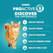 IAMS Proactive Health Indoor Dry Cat Food, Chicken & Turkey, 7 lb | Vet-recommended, Real Chicken #1 Ingredient, Proprietary Fiber Blend, Prebiotics for Healthy Digestion, Hairball Control
