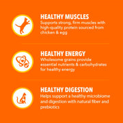 IAMS Proactive Health Healthy Adult Dry Cat Food, Chicken, 22 lb | Veterinarian-recommended, Real chicken #1 ingredient, chicken & egg protein, wholesome grains for energy, supports muscles