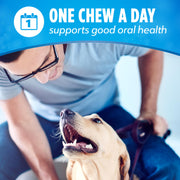 Dentalife Purina Daily Dental Chews for Large Dogs, 18 ct Pouch | Chewy, ridged texture in a tasty chicken flavor, helps reduce tartar buildup and help freshen breath