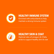 IAMS Proactive Health Healthy Adult Dry Cat Food, Chicken, 22 lb | Veterinarian-recommended, Real chicken #1 ingredient, chicken & egg protein, wholesome grains for energy, supports muscles