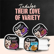 Cesar Classic Loaf in Sauce Wet Dog Food, Meaty Selects, 3.5 oz, 36 Count | Real meat #1 ingredient, no fillers or artificial flavors, formulated without grains, easy to digest, easy peel trays