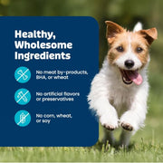Blue Buffalo Health Bars Pumpkin & Cinnamon Dog Biscuits, 16 oz | Oven-Baked, Crunchy Texture, No Chicken By-Product, Corn, Wheat, or Soy