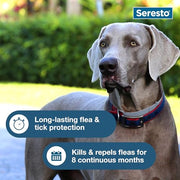 Seresto 8-Month Flea & Tick Collar for Large Dogs Over 18 lbs., 1ct