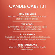 Yankee Candle Spiced Pumpkin Scented Candle, 22oz Large Jar | Up to 150 Hour Burn Time, Room Filling Fragrance, Long-Lasting Scent, Premium Plant Wax Blend, Consistent Burn, Giftable