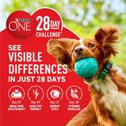 Purina ONE Lamb and Rice Formula Dry Dog Food for Digestive Support | Dog food with real lamb as first ingredient, Microbiome Balanced and prebiotic fiber, supports digestive health