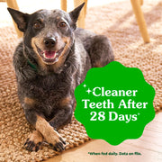Greenies Teenie Original Natural Dental Dog Treats, Chicken, 43 Count | Veterinarian-recommended, supports oral health & freshens breath, clean to gumline, for dogs 5-15 lbs, chicken flavor