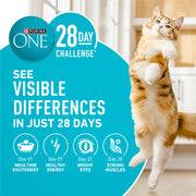 Purina ONE Tender Selects Dry Cat Food, Salmon, 7 lb Bag | Real salmon is the #1 ingredient made with carrots, peas, vitamins A and E for bright eyes, strong muscles and digestion