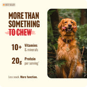 Natural Farm Odor-Free Bully Sticks for All Breeds, 6 Inch, 25 Count | Grass-Fed, Non-GMO, Grain-Free 100% Beef Pizzle. Single-Ingredient, Rawhide-Free, Fully Digestible, Long-Lasting