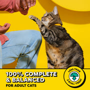 Temptations Classic Crunchy and Soft Cat Treats, Tasty Chicken, 30 oz | Under 2 calories per treat, crunchy outside & soft inside, resealable tub, 100% complete & balanced, snack, meal or topper