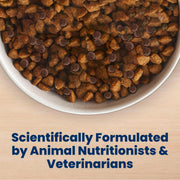 Blue Buffalo Life Protection Formula Chicken Adult Dry Dog Food, 5 lb | Real Chicken #1 Ingredient, Supports Immunity with Antioxidant-Rich LifeSource Bits, Promotes Healthy Muscle Development