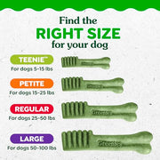 Greenies Teenie Original Natural Dental Dog Treats, Chicken, 43 Count | Veterinarian-recommended, supports oral health & freshens breath, clean to gumline, for dogs 5-15 lbs, chicken flavor