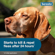 Seresto 8-Month Flea & Tick Collar for Large Dogs Over 18 lbs., 1ct