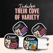 Cesar Classic Loaf in Sauce Wet Dog Food, Meaty Selects, 3.5 oz, 36 Count | Real meat #1 ingredient, no fillers or artificial flavors, formulated without grains, easy to digest, easy peel trays