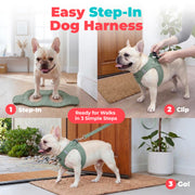 Voyager Step-in Air Dog Vest Harness - Moss Green, Small | 14.5-16" in Chest, Reflective Bands, All Weather Breathable Air Mesh, Cats Compatible, Lightweight, Fast Drying
