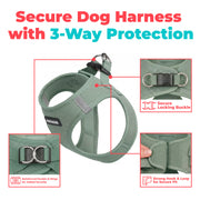 Voyager Step-in Air Dog Vest Harness - Moss Green, Small | 14.5-16" in Chest, Reflective Bands, All Weather Breathable Air Mesh, Cats Compatible, Lightweight, Fast Drying