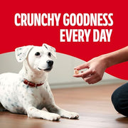 Milk-Bone MaroSnacks Small Dog Treats with Real Bone Marrow, 40 Oz. | Dog treats with 12% protein