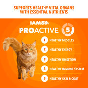 IAMS Proactive Health Healthy Adult Dry Cat Food, Chicken, 22 lb | Veterinarian-recommended, Real chicken #1 ingredient, chicken & egg protein, wholesome grains for energy, supports muscles