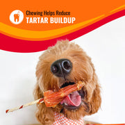 Good 'n' Fun Kabobs Long-Lasting Dog Treat Made With Real Protein, 24 oz | Premium Chicken, Pork and Beef Hide Chew, Supports Dental Health and Mental Stimulation, For Adult Dogs