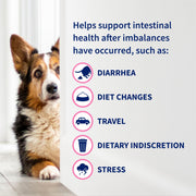 Nutramax Proviable Probiotics for Dogs & Cats, Sprinkle Capsules, 30ct | Probiotics for Cats and Dogs, Plus Prebiotics, Daily Gut Health Support Supplement, Multiple Strains, Sprinkle on Food