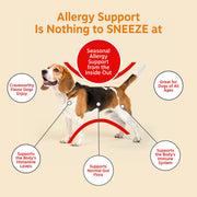 Zesty Paws Dog Allergy Chews - Dog Allergy Relief, Lamb, 90 Ct | Itch Relief for Dogs Soft Chews with Probiotics for Itchy Skin, Ears and Paws