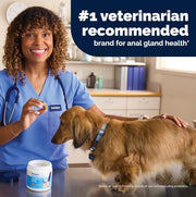 Vetnique Glandex for Dogs Anal Gland Chews 60ct Pumpkin + Digestive Enzymes | Anal Gland Dog Treats, Boot the Scoot + Fishy Odor Support, Fiber, Probiotics, Quercetin + Apple Pectin, Peanut Butter