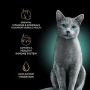 Sheba Perfect Portions Cuts Wet Cat Food, Multipack, 2.6 oz, 24 ct | Chicken, Salmon & Turkey cuts in gravy, grain-free, protein-rich, no corn/soy, essential vitamins & minerals, twin-pack trays