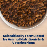 Blue Buffalo Life Protection Formula Chicken Small Breed Dry Dog Food, 5 lb | Real Chicken #1 Ingredient, Antioxidant-Rich LifeSource Bits, Supports Higher Energy Needs, Formulated for Small Breed Dogs