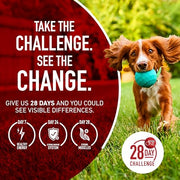 Purina ONE Lamb and Rice Formula Dry Dog Food for Digestive Support | Dog food with real lamb as first ingredient, Microbiome Balanced and prebiotic fiber, supports digestive health