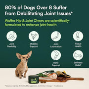Wuffes Advanced Hip & Joint Chews for Small & Medium Breed Dogs, Vet Recommended, Glucosamine, Chondroitin, MSM, Green-Lipped Mussel & Hyaluronic Acid Supplement, Supports Mobility, 60 Pork Chews