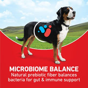 Purina ONE Lamb and Rice Formula Dry Dog Food for Digestive Support | Dog food with real lamb as first ingredient, Microbiome Balanced and prebiotic fiber, supports digestive health
