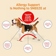 Zesty Paws Dog Allergy Chews - Dog Allergy Relief, Lamb, 90 Ct | Itch Relief for Dogs Soft Chews with Probiotics for Itchy Skin, Ears and Paws