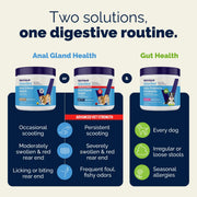 Vetnique Glandex for Dogs Anal Gland Chews 60ct Pumpkin + Digestive Enzymes | Anal Gland Dog Treats, Boot the Scoot + Fishy Odor Support, Fiber, Probiotics, Quercetin + Apple Pectin, Peanut Butter