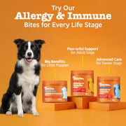 Zesty Paws Dog Allergy Chews - Dog Allergy Relief, Lamb, 90 Ct | Itch Relief for Dogs Soft Chews with Probiotics for Itchy Skin, Ears and Paws