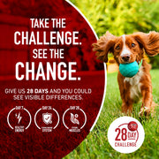 Purina ONE Lamb and Rice Formula Dry Dog Food for Digestive Support | Dog food with real lamb as first ingredient, Microbiome Balanced and prebiotic fiber, supports digestive health