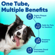 C.E.T. Enzymatic Toothpaste for Dogs and Cats, Poultry, 2.5oz | Plaque and tartar control for fresh breath, pet dental care toothpaste, Dual enzyme system, poultry flavored toothpaste