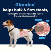 Vetnique Glandex for Dogs Anal Gland Chews 60ct Pumpkin + Digestive Enzymes | Anal Gland Dog Treats, Boot the Scoot + Fishy Odor Support, Fiber, Probiotics, Quercetin + Apple Pectin, Peanut Butter