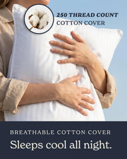 Beckham Hotel Collection Bed Pillows Standard/Queen Size Set of 2 | Original Soft Down Alternative Pillow for Sleeping, Soft Support for Back, Stomach or Side Sleepers