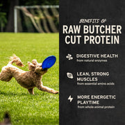 Vital Essentials Freeze Dried Dog Treats, Beef Liver, 2.1 oz Bag | Single Ingredient, Made With 100% Beef Liver, Grain-Free Training Treats, USA Made with U.S. & Globally Sourced Ingredients