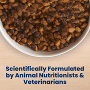 Blue Buffalo Life Protection Formula Chicken Adult Dry Dog Food, 5 lb | Real Chicken #1 Ingredient, Supports Immunity with Antioxidant-Rich LifeSource Bits, Promotes Healthy Muscle Development