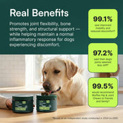 Wuffes Advanced Hip & Joint Chews for Small & Medium Breed Dogs, Vet Recommended, Glucosamine, Chondroitin, MSM, Green-Lipped Mussel & Hyaluronic Acid Supplement, Supports Mobility, 60 Pork Chews