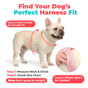 Voyager Step-in Air Dog Vest Harness - Moss Green, Small | 14.5-16" in Chest, Reflective Bands, All Weather Breathable Air Mesh, Cats Compatible, Lightweight, Fast Drying