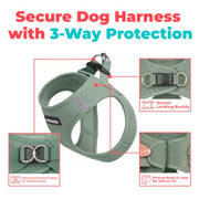 Voyager Step-in Air Dog Vest Harness - Moss Green, Small | 14.5-16" in Chest, Reflective Bands, All Weather Breathable Air Mesh, Cats Compatible, Lightweight, Fast Drying