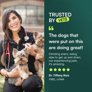 Wuffes Advanced Hip & Joint Chews for Small & Medium Breed Dogs, Vet Recommended, Glucosamine, Chondroitin, MSM, Green-Lipped Mussel & Hyaluronic Acid Supplement, Supports Mobility, 60 Pork Chews