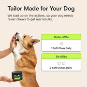 Wuffes Advanced Hip & Joint Chews for Small & Medium Breed Dogs, Vet Recommended, Glucosamine, Chondroitin, MSM, Green-Lipped Mussel & Hyaluronic Acid Supplement, Supports Mobility, 60 Pork Chews