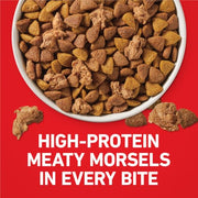 Purina ONE Lamb and Rice Formula Dry Dog Food for Digestive Support | Dog food with real lamb as first ingredient, Microbiome Balanced and prebiotic fiber, supports digestive health