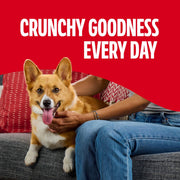 Milk-Bone Flavor Snacks Mini’s Dog Treats, 36 Oz. | 5 calories per treat, 15% protein, 3 flavors per canister (beef, chicken & bacon, naturally & artificially flavored)